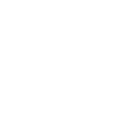 zeiss logo white