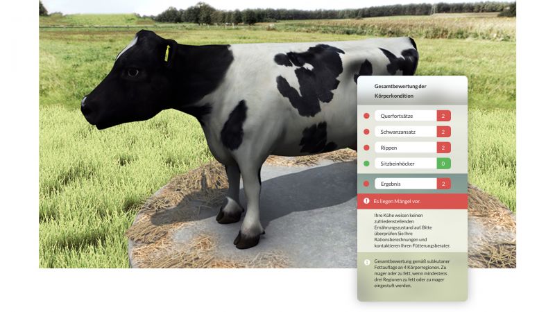NMY I Virtuelle Nutztier Evaluation I Kuhfigurator